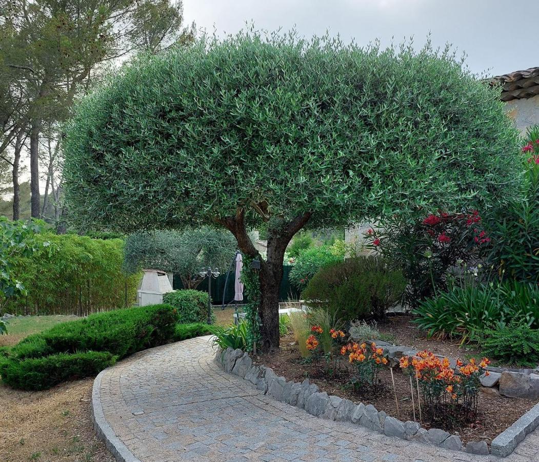 Gite Les Pins Climatise Piscine Chauffee Jardin Peymeinade Exterior foto